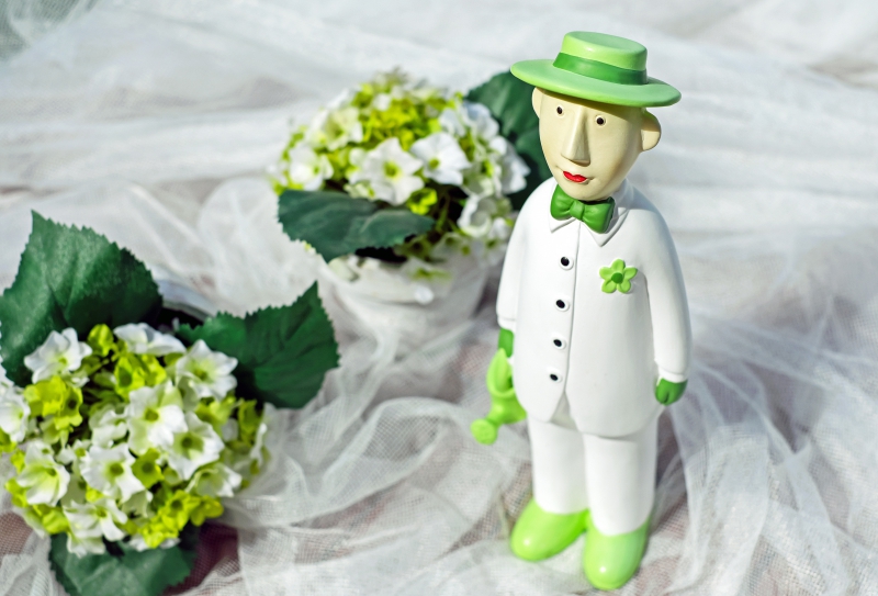 vitrine-LA CROIX SUR ROUDOULE-min_man-person-flower-green-toy-fig-546529-pxhere.com